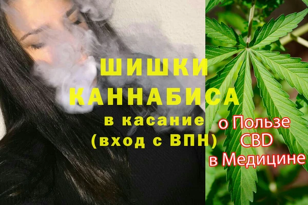 мдпв Семилуки