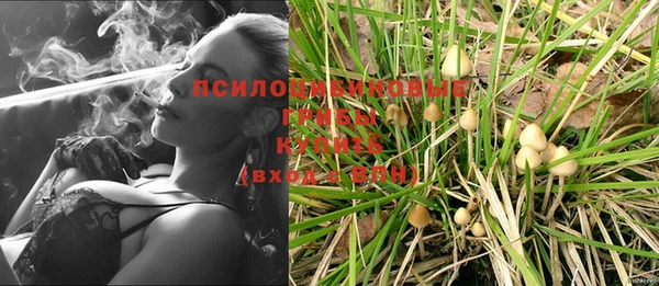 ПСИЛОЦИБИНОВЫЕ ГРИБЫ Алексин