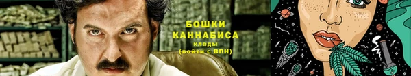 ПСИЛОЦИБИНОВЫЕ ГРИБЫ Алексин