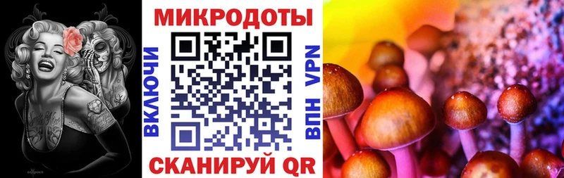 закладки  Багратионовск  даркнет телеграм  Галлюциногенные грибы мухоморы 
